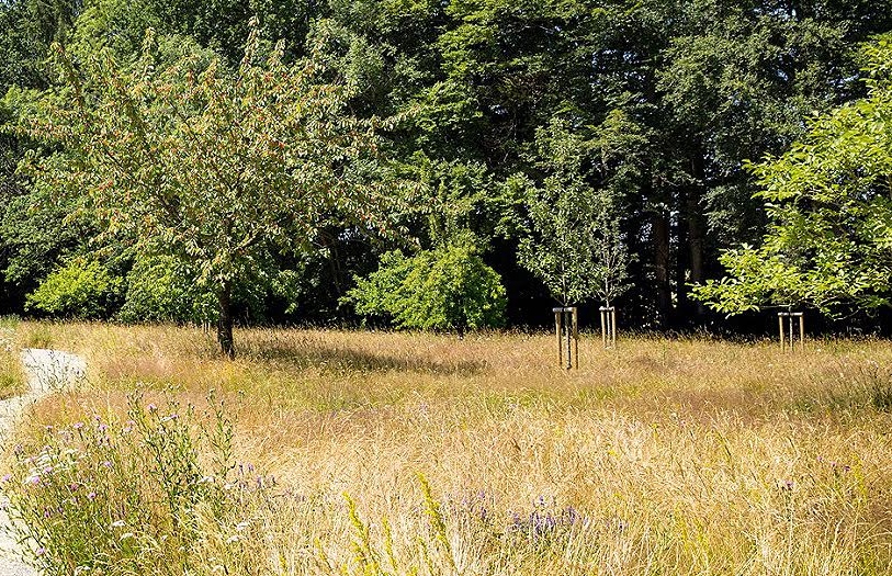 Blakedown